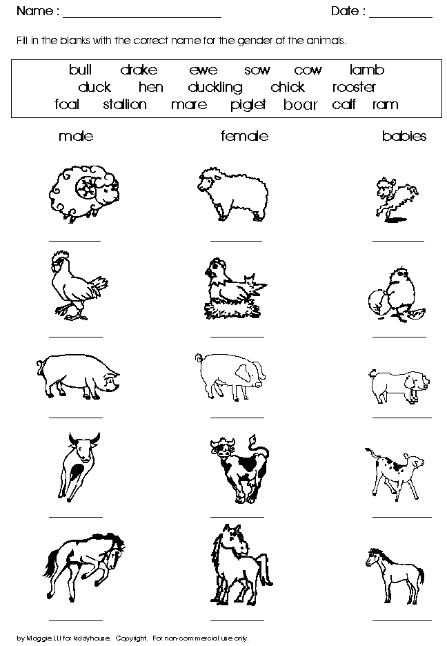 Farm Animals Worksheets