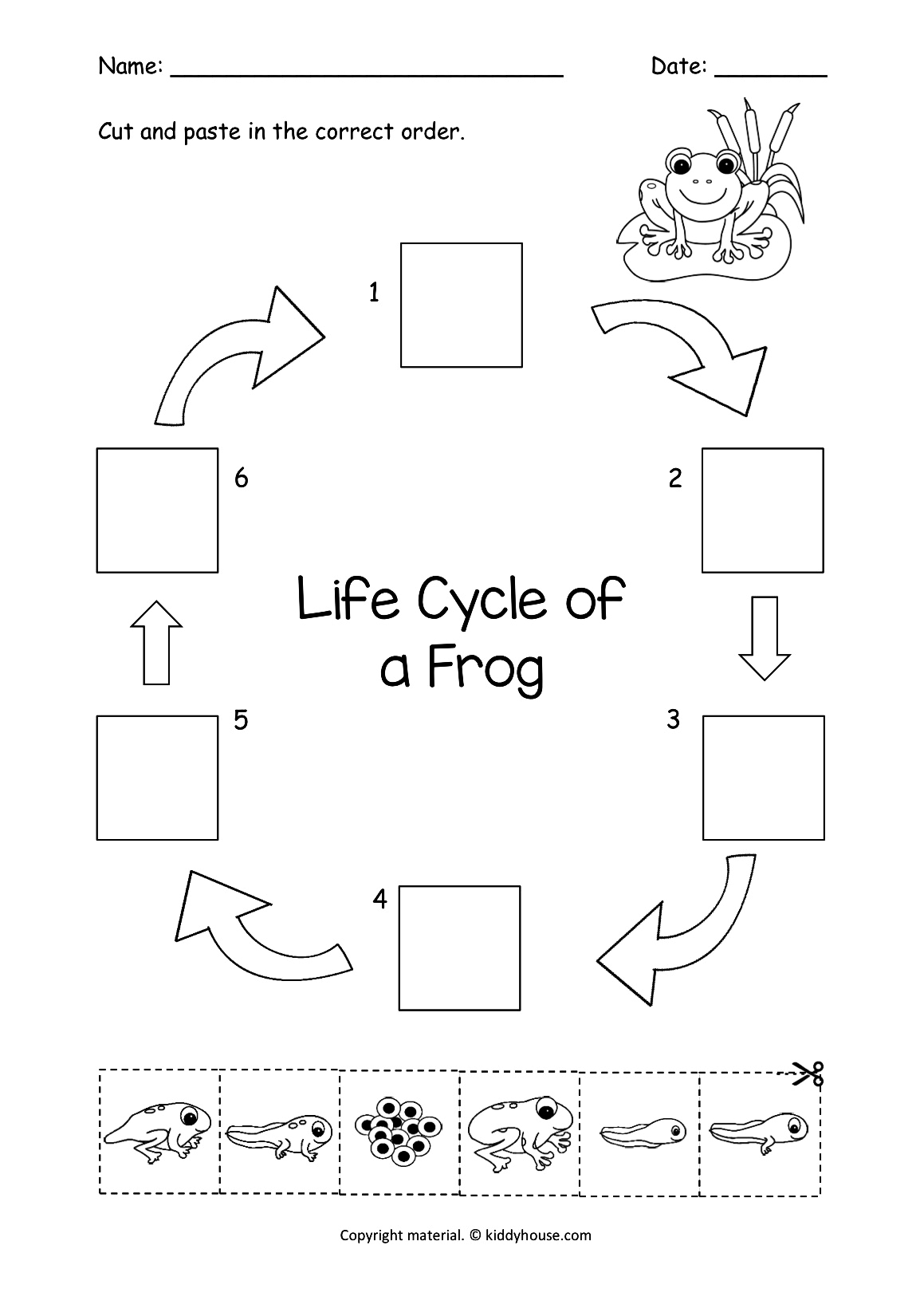 Life Cycle Of A Frog Cut And Paste | Kiddyhouse.com