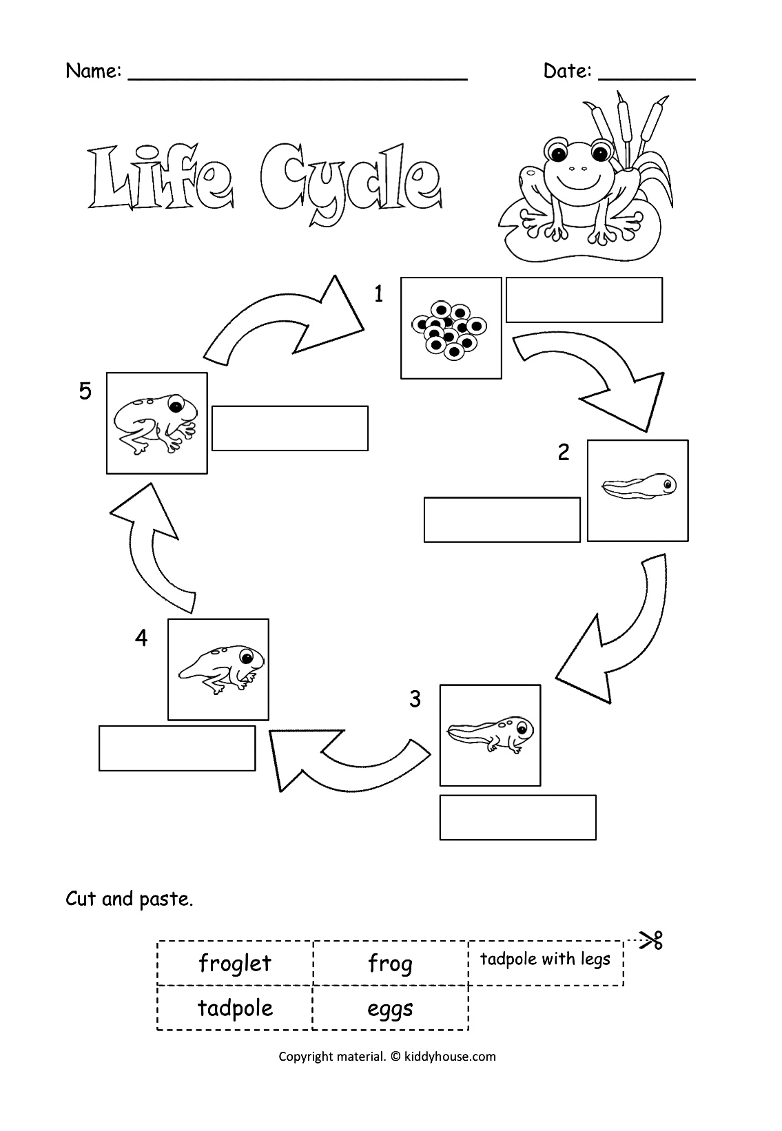 Life Cycle Of A Frog Cut And Paste To Label